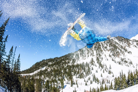 滑雪板 freerider 跳从太阳雪匝道上的山川 森林背景