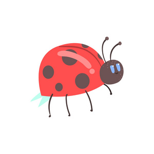 可爱的卡通红色瓢虫字符照片