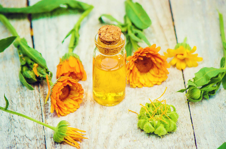 金盏花提取物图片
