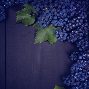 黑色旧木板上的蓝色葡萄。背景与葡萄, 顶部的看法, 特写。文本的位置