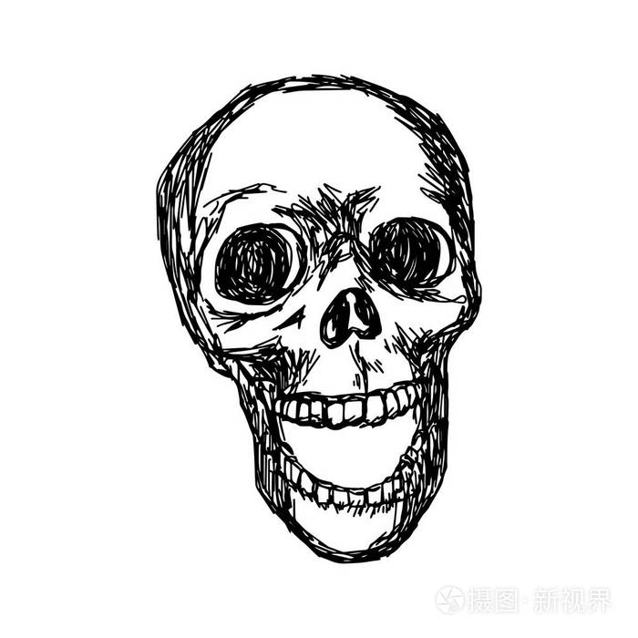 骷髅矢量图素描手绘与孤立的白色背景上的黑色线条