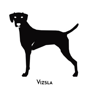 剪影狗图片大全