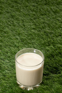 一杯牛奶在青草上, 合上