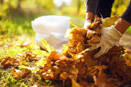 年轻的男孩打扫落叶.概念的纯度.秋天的落叶.纯度.环境.otdoor.