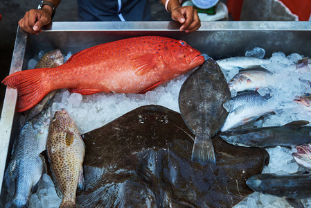 海鲜市场冷冰床上生鲜鱼的种类