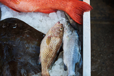 鱼市场上的冰鲜红鱼。海鲜概念。健康海鲜