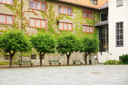 挪威 Folkenmuseum 的建筑长凳和树木