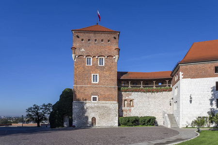 瓦维尔克拉科夫波兰的皇家城堡