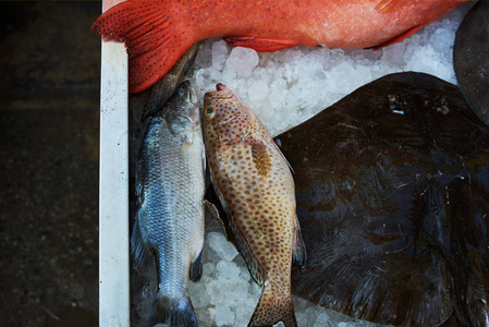 很多冷冻不同大小的鱼。新鲜的鱼在市场卖