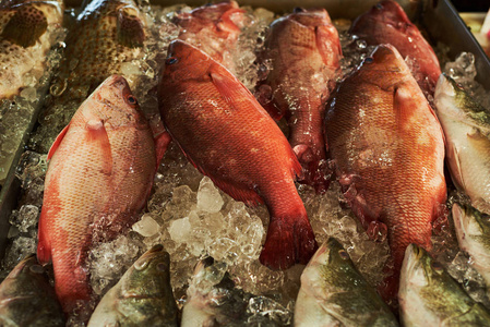 新鲜的鱼在当地市场柜台出售在传统的湿市场在亚洲。鱼在渔场市场, 海鲜工业
