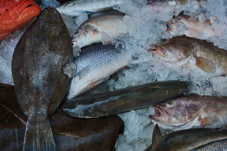 在市场上卖的鲜鱼。各种鱼在冰上出售, 在新鲜潮湿的市场, 新鲜的食物有益健康