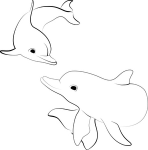 两只海豚插画-两只海豚手绘-两只海豚卡通图-摄图新视界