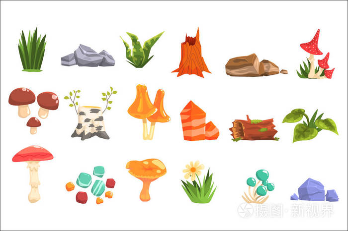 森林风景自然元素,植物和蘑菇