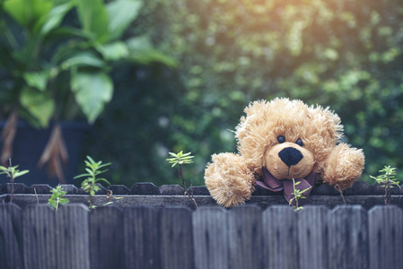 公园里可爱的毛茸茸的泰迪熊.复古风格照片