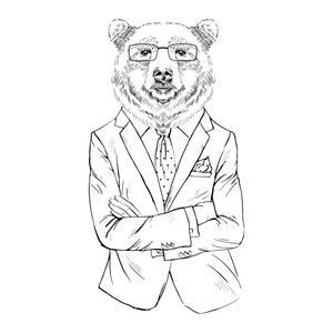 西装的熊棕色的熊在办公室西装打扮照片