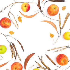 秋天的框架与秋天干燥的叶子和苹果水果隔绝在白色背景, 顶部看法。感恩节概念