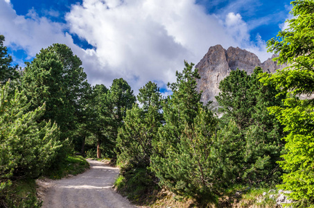 诺伊斯 Catinaccio 地块, 白云岩, 意大利。壮观的看法在瓦尔 di Vajolet, Dolomiti 山, 女低音