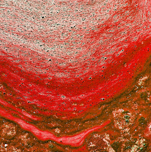 与藻类的污染的水。红颜色。带纹理的背景