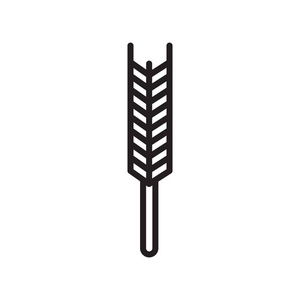 小麦图标矢量隔离白色背景为您的 web 和移动应用程序设计, 小麦徽标概念, 轮廓符号, 线形符号, 轮廓符号, 线性符号