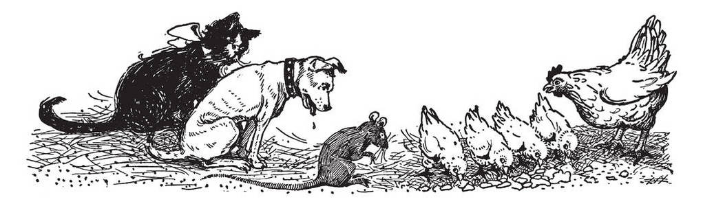 小母鸡给她的小鸡和狗, 猫和老鼠看他们, 复古线画或雕刻插图