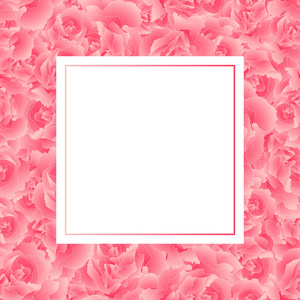 石竹石竹粉红康乃馨花横幅牌边框。矢量插图