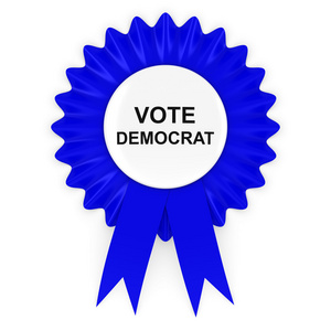 我们选举投票给民主党蓝色玫瑰 3d 图