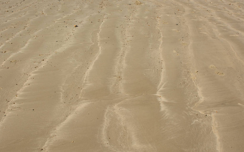 冷清和空的沙滩在低潮。利特尔汉普顿, 西苏塞克斯, 英国