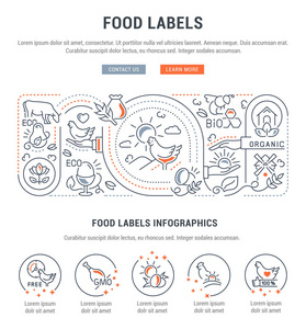 食品标签线横幅。有机食品与生态产品的矢量图解