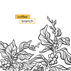 花卉艺术线条设计.简单的老式模板.装饰艺术.手绘插图复制空间照片