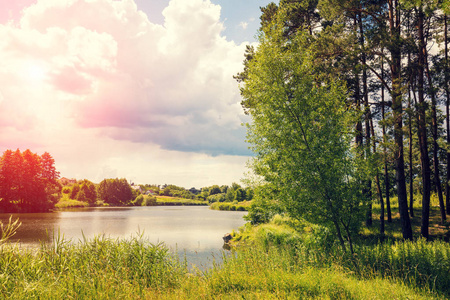 湖与岸边的树木的看法。荒野, 美丽的大自然, 蔚蓝的湖面