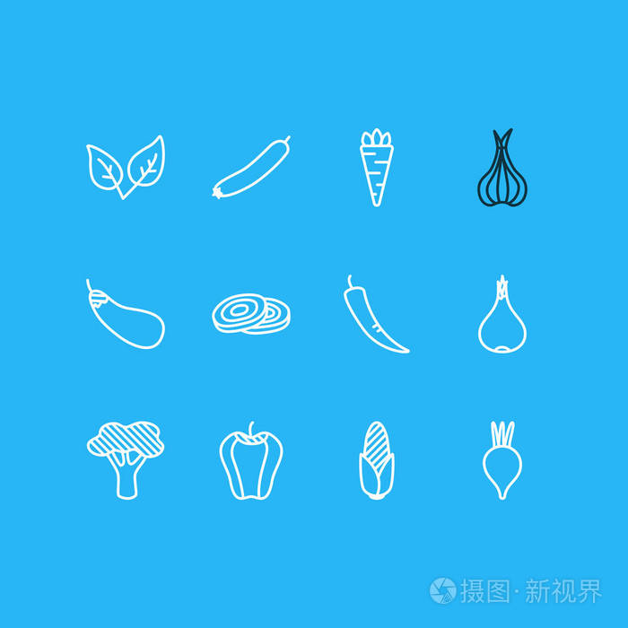 插图12食品图标线风格 可编辑的胡萝卜 茄子 花椰菜和其他图标元素集照片 正版商用图片0rw5gg 摄图新视界