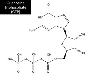 鸟嘌呤核苷三磷酸分子的结构照片
