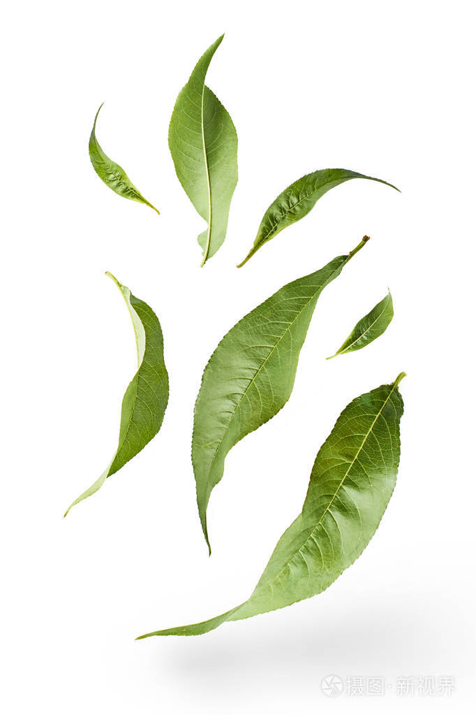 在白色的背景下, 飞出的绿茶叶子被隔离.食品悬浮概念, 高分辨率