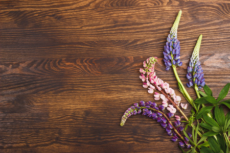 木板上的紫罗兰色羽扇豆