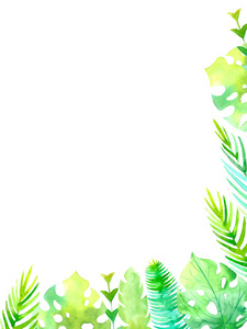 水彩 ftropic 结婚贺卡。框海报空白。手绘植物, 龟背竹, 香蕉叶, 棕榈枝分离白色背景。植物学设计模板。夏天的概念。手绘