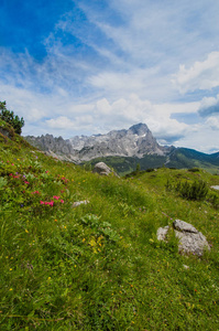 美丽的山风景在奥地利