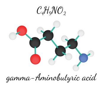 h9no2 氨基丁酸分子