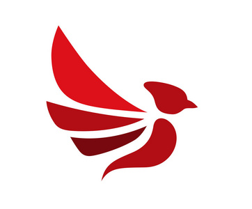 野生动物搭乘飞机图片