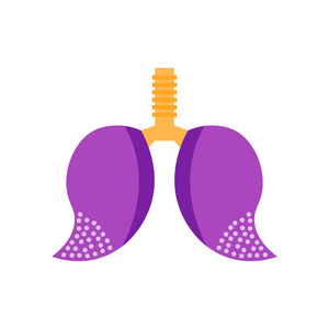 肺部图标矢量隔离白色背景为您的 web 和移动应用程序设计, 肺部标志概念