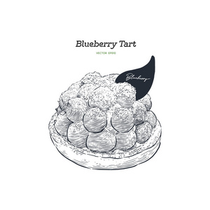 蓝莓馅饼, 手绘素描矢量
