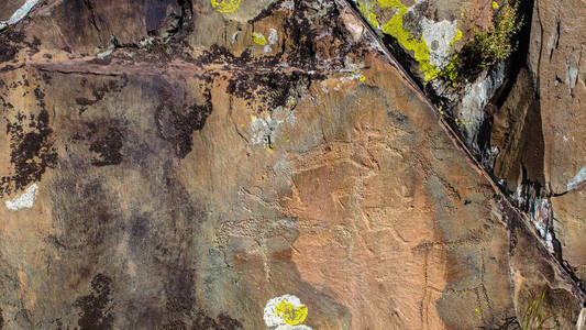 岩画古岩画在阿尔泰山脉, 俄罗斯