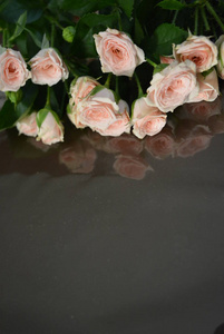 天然新鲜别致的玫瑰粉红色奶油色在棕色表面与反光膜