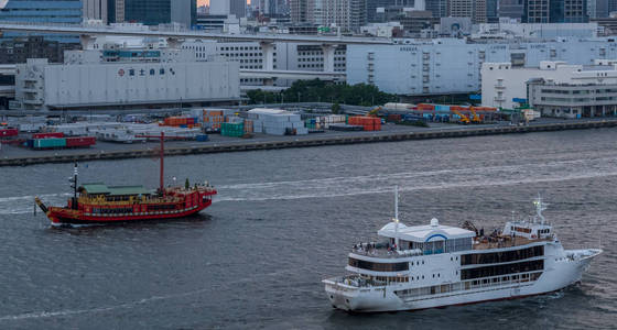 夕阳下的东京城市夜景