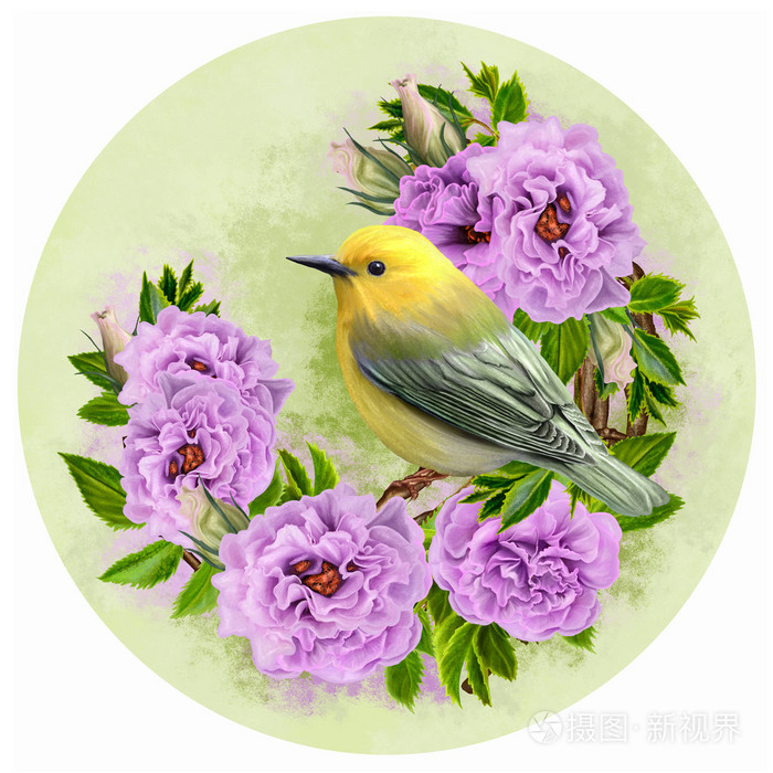 树枝上的黄色小鸟.花序花丁香玫瑰.圈子.圆的形式