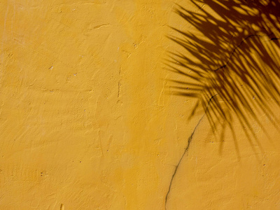黄色混凝土墙上阴影叶的抽象背景纹理