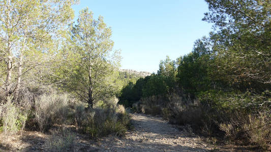 西班牙 Castellon 棕榈沙漠小径