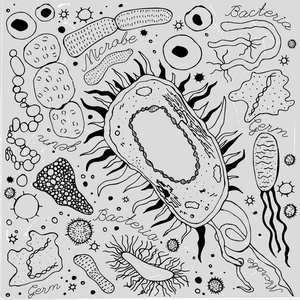 病毒细菌插画图片