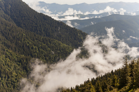 雷尼尔山日出图片