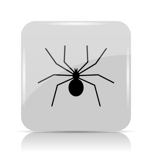蜘蛛图标。白色背景上的互联网按钮
