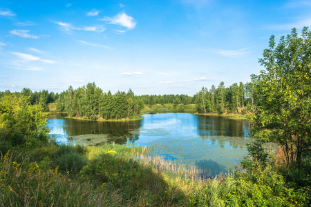 美丽的风景与一个小湖在一个晴朗的夏天天, 俄国